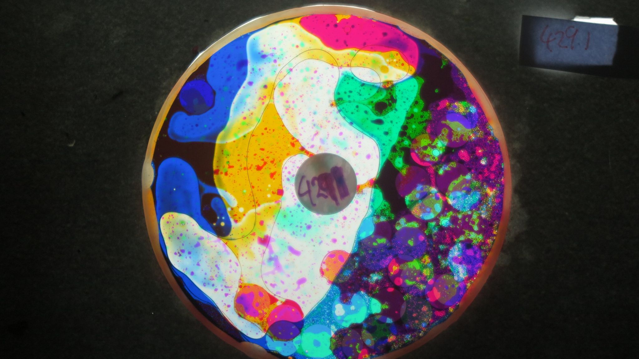 BV4291 bubble vision oil wheel